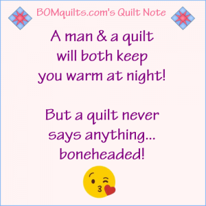 BOMquilts.com's Meme: A Man & a Quilt will Both Keep you Warm at Night!
