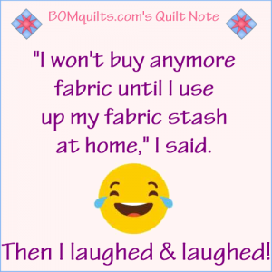 BOMquilts.com's Meme: I won't buy anymore fabric until I use up my fabric stash at home!
