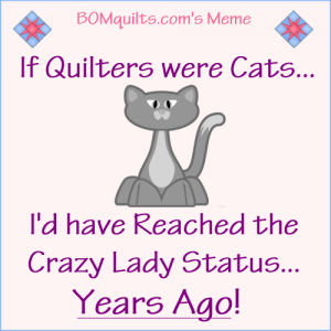 BOMquilts.com's Meme: If Quilters were Cats...!