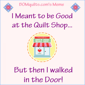 BOMquilts.com's Meme: I meant to be good at the quilt shop! I really did!