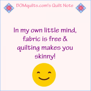 BOMquilts.com's Meme: In my own little mind fabric is free & quilting makes you skinny!