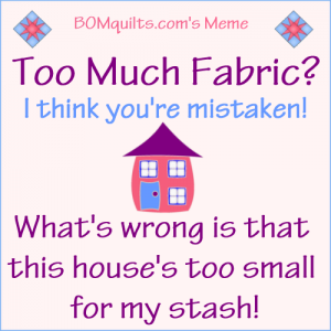 BOMquilts.com's Meme: Too much Fabric?