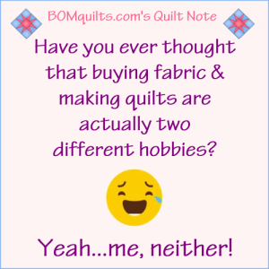 BOMquilts.com's Meme: Have you ever thought that buying fabric & making quilts are actually two different hobbies? Yeah...me, either!