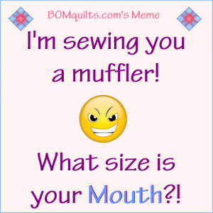 BOMquilt's Meme: I'm sewing you something special!