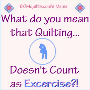 BOMquilt's Meme: Do you exercise the same way that I do?!