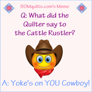 BOMquilt's Meme: Cowboy's can be so dense!