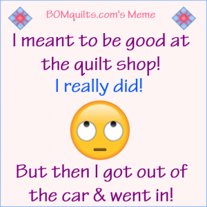 BOMquilt's Meme: I Meant to be Good! I Really Did!