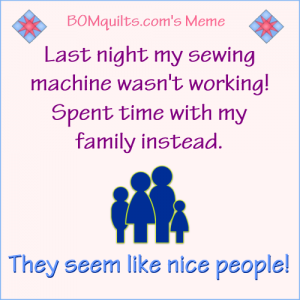 BOMquilt's Meme: I think my family is nice!