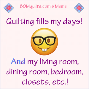 BOMquilt's Meme: Quilting Fills...Everything!