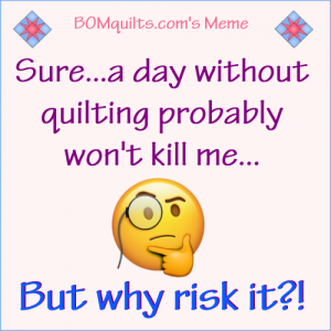 BOMquilt's Meme: Why risk my life like that?!