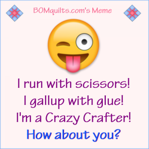 BOMquilt.com's meme: There's a lot of things I do that could be considered crazy! What about you? What do you do that might be considered crazy by other people?