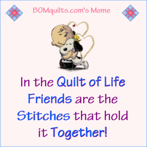 BOMquilt.com's meme: I get all warm & snugly just thinking about all of my quilty friends (that's you & you & you & you)!