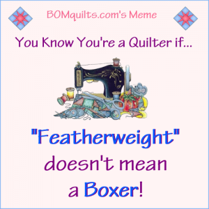 BOMquilt.com's Meme: I like looking at those featherweight boxers! But don't confuse them with any other Featherweight! They're way different!