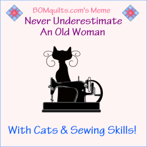 BOMquilts.com's meme: Even though I'm really allergic to cats. They do serve their purpose!