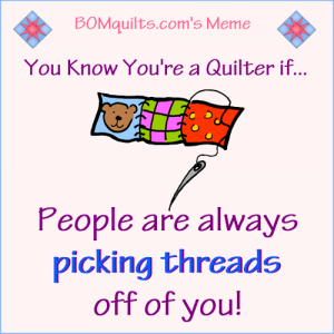 BOMquilts.com's meme: Sometimes there's enough threads on me, that I could make a giant thread ball, or a dust mop! Same for you?