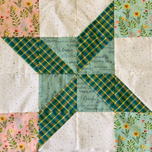 "Harry's Star" Quilt Block made by Jean G.