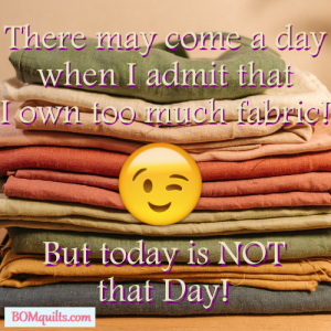 I'll admit that I have a fabric stash. But I won't admit how much fabric I have that's in that stash!