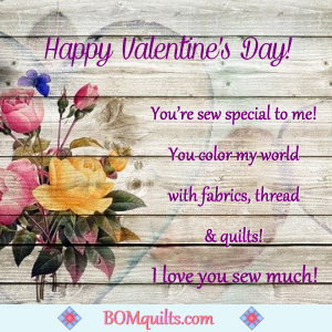 BOMquilts.com's meme: Happy Valentine's Day! Or is it National Chocolate Day?! I'm Standing in Line for Either one that's got My Name on It!