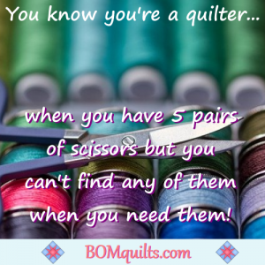 BOMquilts.com's meme: I amaze myself all the time! Especially when I know, that I've got a pair of scissors for everything & anything I want them for. But can I find them when I need them?!