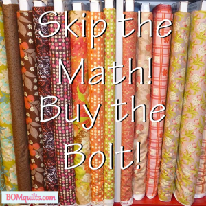BOMquilts.com's meme: Math is for nerds! Forget about trying to do the math in your head! A bolt is always better than anything less!