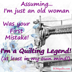 BOMquilts.com's meme: Ya'll know what the word "assume" stands for don't you? Don't make the same mistake again!