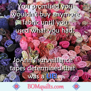 BOMquilts.com's Meme: Nobody told me that they had surveillance tapes at JoAnn! If I'd have known that, I would've worn a ball cap & gone incognito!