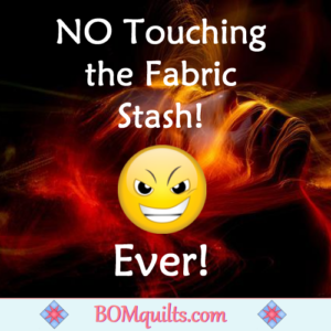 BOMquilts.com's Meme: If I've said it once I've said it 1000 times: My fabric stash is off limits!