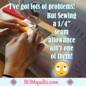 BOMquilts.com's Meme: I can sew a 1/4" seam allowance in my sleep! I can also measure just about anything within a 1/4"!
