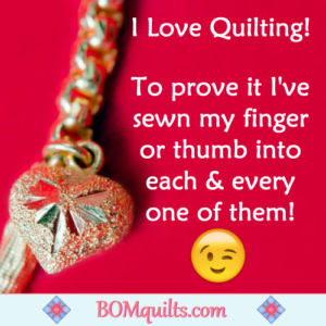 BOMquilts.com's Meme: There is literally a piece of me in every pieced quilt I make!