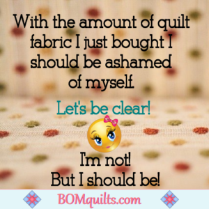 BOMquilts.com's Meme: I get ashamed of myself, when I accidentally go in the men's room, instead of the lady's room! But why should I get ashamed of having too much fabric?!