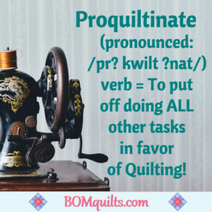 BOMquilts.com's Meme: I like to make up words that fit in my own little world! This one seems to be the one that comes up most often!