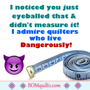 BOMquilts.com's Meme: I can measure something without a tape measure or ruler! I love living on the edge!