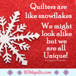 BOMquilts.com's Meme: Don't you dare compare snowflakes to flakes! Not unless they're one & the same!