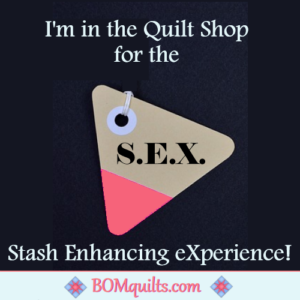 BOMquilts.com's Meme: Ooh, Ooh, Ahh! Ahh! Channeling Meg Ryan while shopping for quilt fabrics!