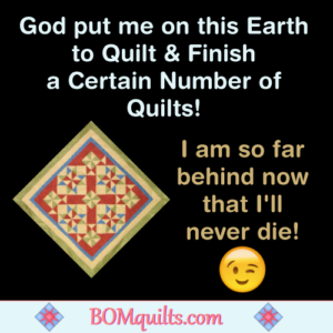 BOMquilts.com's Meme: I can only make so many quilts in a day! Right now I'm set to expire when I'm 140-years-old!
