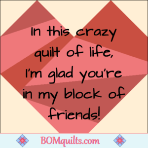 BOMquilts.com's Meme: I love the quilt blocks that remind me of how many friends I have who are on the same block as I am! Does that make all of us crazy for each other?!