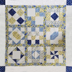 Pat K. Sewed my 2017"Happiness is Quilting" BOM quilt together! She's part of the "Disconnected Piecers Quilt Guild! Free pattern is from BOMquilts.com & is designed by TK Harrison!