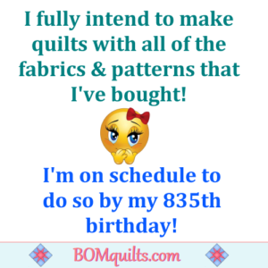 BOMquilts.com's Meme: I know that I'll eventually get all of my quilts made. However I'm not so sure about living so long?!
