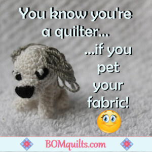 BOMquilts.com's Meme: It's a well-known rumor that quilters pet their fabrics. But I'm not confessing to anything!
