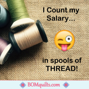 BOMquilts.com's Meme: I don't work outside of the house. I don't really work inside of the house, either. So I'll be sitting on your street corner with my sandwich sign begging for donations of thread!