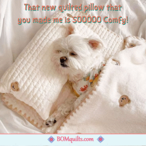 BOMquilts meme: I appreciate it when my quilty items are loved by those who I gift them to!