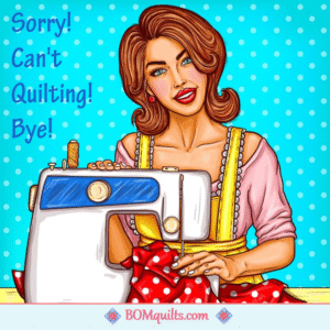 BOMquilts meme: It is always the same answer to every question that is asked of me!