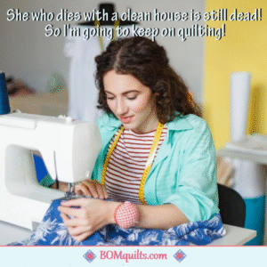 BOMquilts meme: A quilt will last a lifetime for whoever I give it to! A clean house only lasts until someone spills something, or until the dog piddles on the carpet, or until one of the kids drops their plate on the kitchen floor!