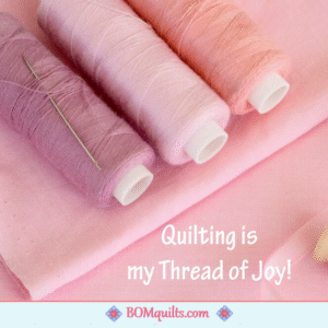 BOMquilts meme: One of my daily goals is Joy & thread brings me so much Joy! It is my daily jam, my daily quilt therapy & my daily love!