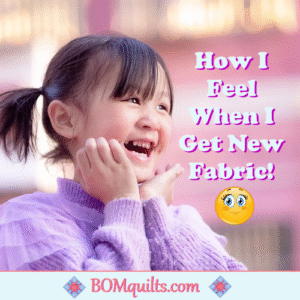 BOMquilts meme: I get giddy like a little schoolgirl when I get to pet new fabrics! I get ants in my pants at the checkout counter, just anticipating taking those fabrics home & laying them out on my table to gaze at! There are few things more exciting in my world than buying new fabrics!