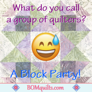 BOMquilts.com's Meme: This meme needs no words! Not unless someone doesn't get it?!