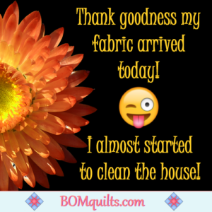 BOMquilts.com's Meme: Do you know how desperate I can get when I'm waiting for fabric to arrive?!