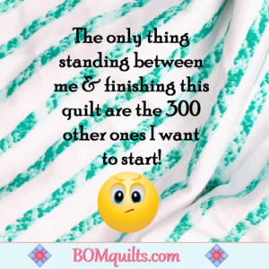 BOMquilts.com's Meme: It's hard to be a quilter these days! Especially when it comes to finishing what you start, like you were taught to do, when you were a little kid! Sigh!