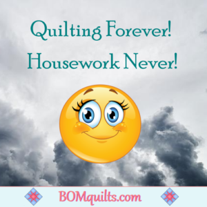 BOMquilts.com's Meme: No Shame & No need to say More!