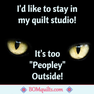 BOMquilts.com's Meme: I'm not antisocial! I'm asocial! Look them up if you don't know the difference!